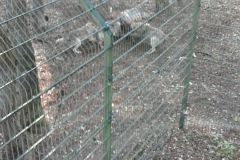 IMG-20161016-WA0011