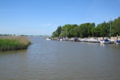 IMG_0979