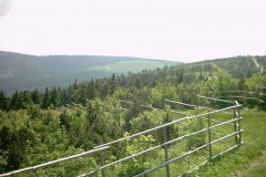 Digital Camera