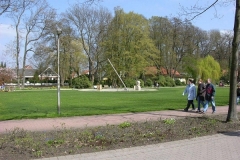 tn_DSCN4952