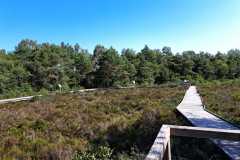 75a26463-d71e-49fe-8245-c298a8e55ada