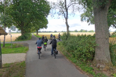 Bild-11