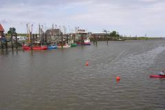 DSCN4621