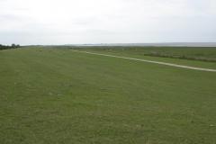 DSCN4629