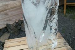 IMG-20160617-WA0002