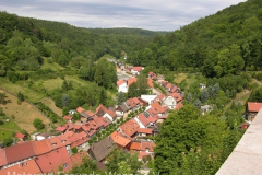 tn_DSCN4513