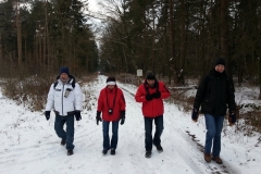 tn_IMG_2513_2