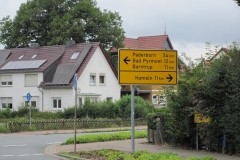 IMG_0553