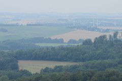 IMG_0558