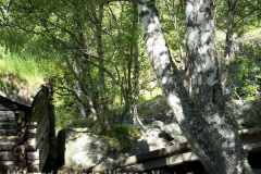 tn_Norwegen-405