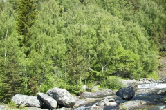 tn_Norwegen-412