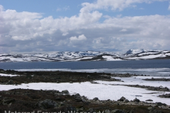 tn_Norwegen-607