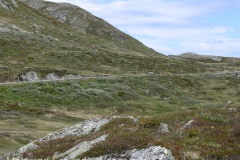 tn_Norwegen-805