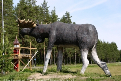 tn_Norwegen-821