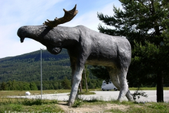 tn_Norwegen-822