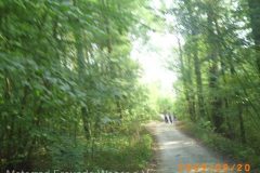 PICT0263