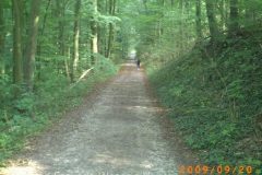 PICT0264