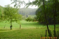 PICT0265