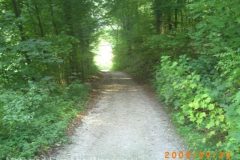 PICT0267