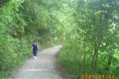 PICT0268