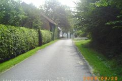 PICT0275