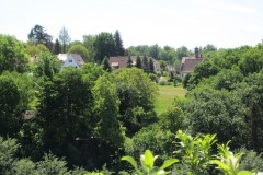 IMG_0464