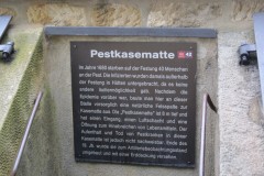 IMG_0509