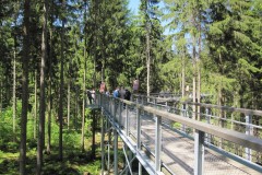 IMG_0686