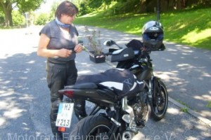 Südliches-Weserbergland