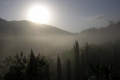 DSCN6771