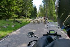 2014-06-07_dolomitentour_tn_P1000366