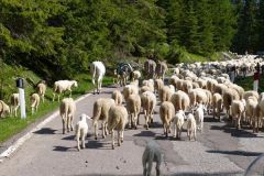 2014-06-07_dolomitentour_tn_P1000367
