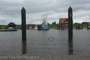 Tour-nach-Fedderwardersiel-2017