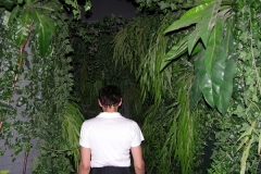tn_DSCN4597