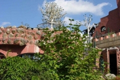 tn_DSCN6176