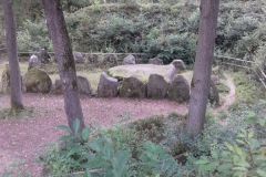 IMG-20170930-WA0018