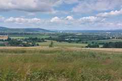 IMG-20240623-WA0010