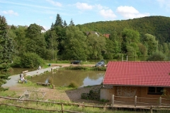 tn_DSCN5490