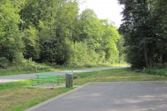 IMG_0596